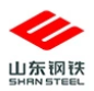 Shandong Iron and Steel