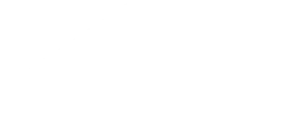 SHANDONG WANZHONG BOARD CO., LTD.